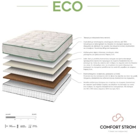 ECO 1